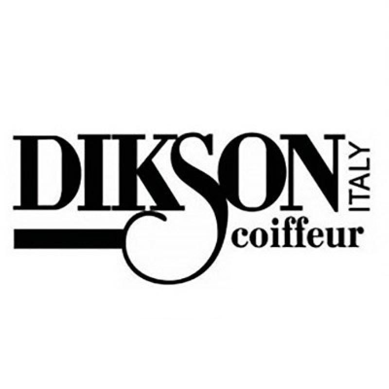 Лого DIKSON